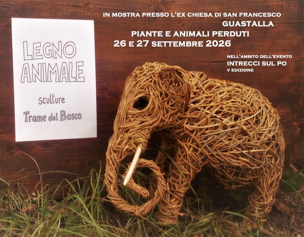 trame del bosco