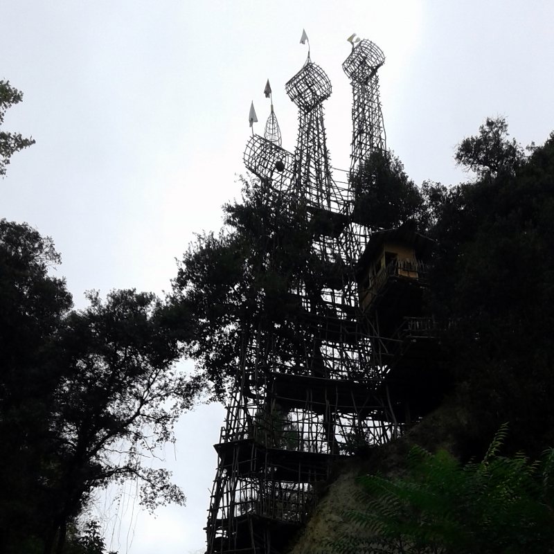 Argelaguer trame del bosco