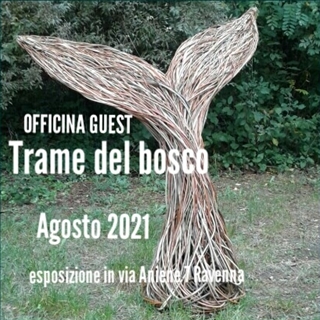 trame del bosco