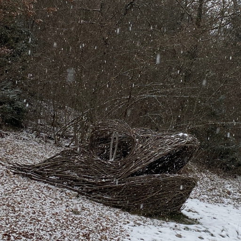 neve