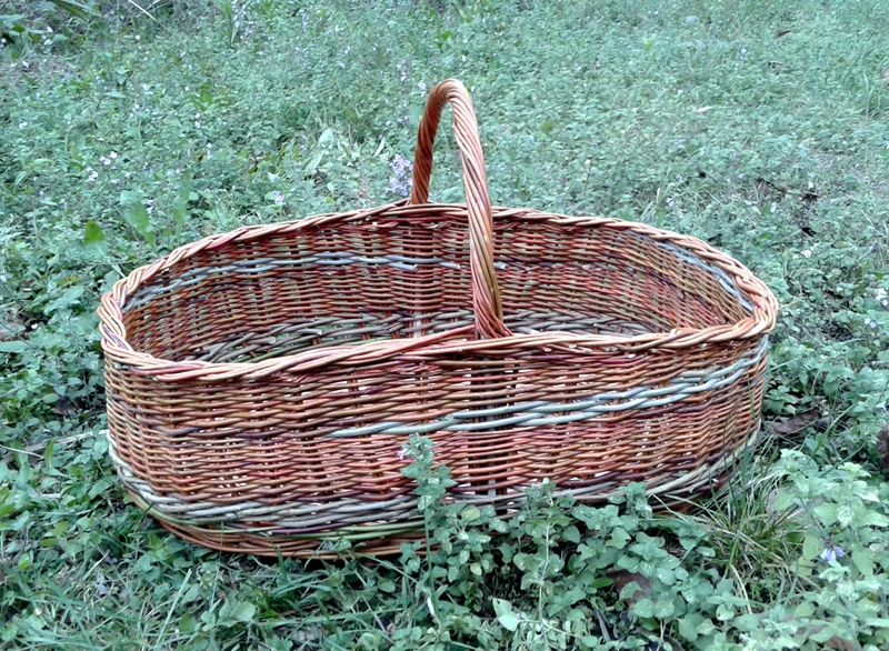 trame del bosco