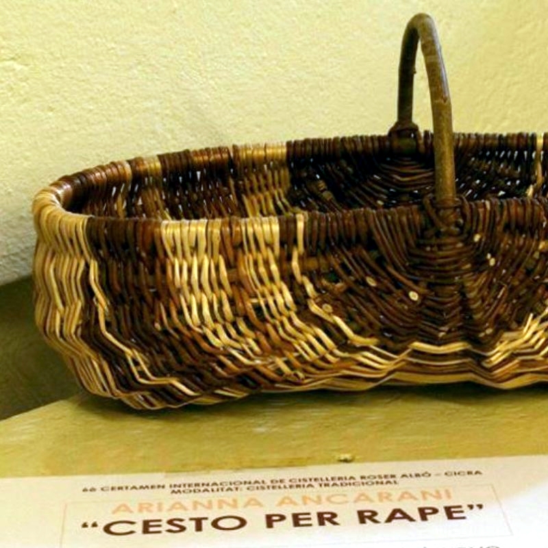 trame del bosco
