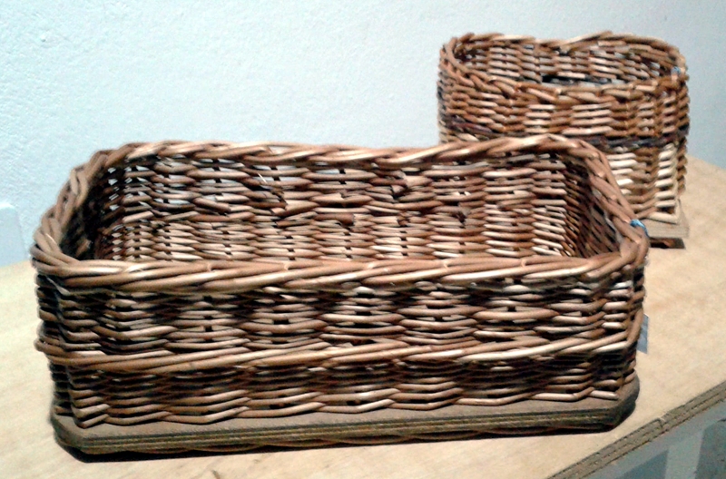 trame del bosco
